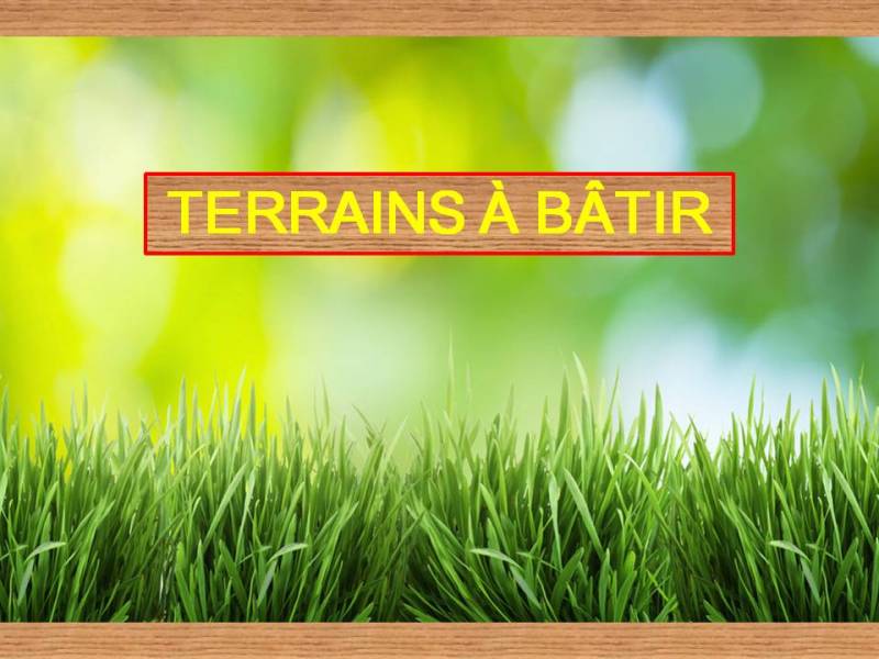 Grands Terrains à bâtir viabilisés dans le Gard à Montdardier 30120